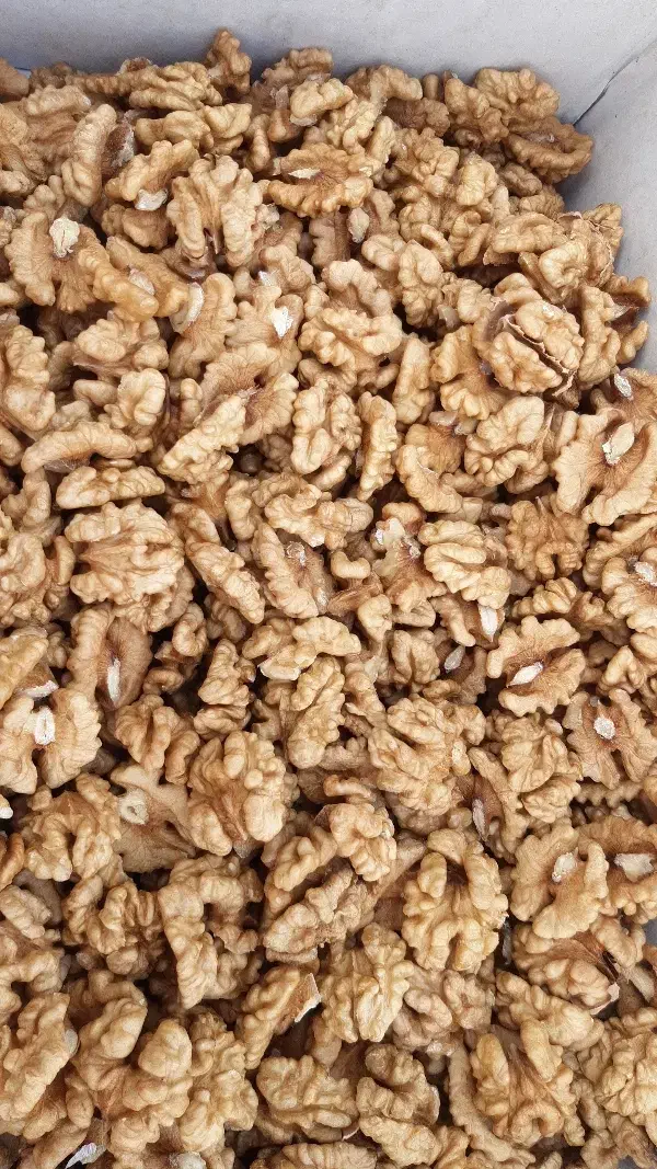 فروش عمده مغزدوپر|خوردنی و آشامیدنی|رشت, یخسازی|دیوار