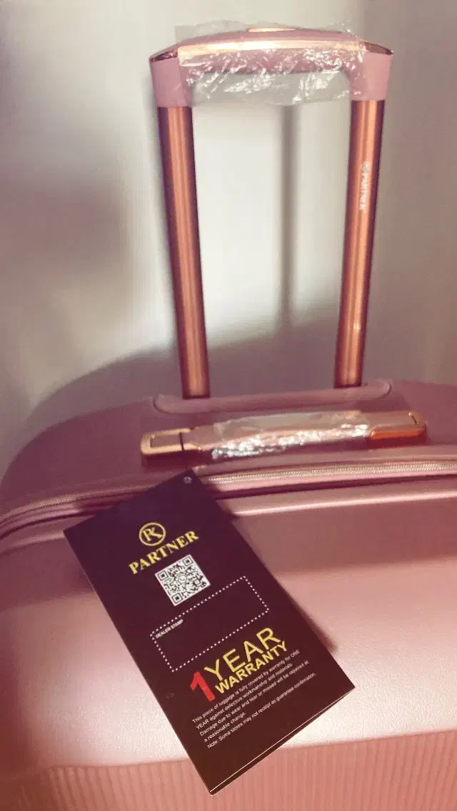 چمدون|کیف، کفش، کمربند|رشت, فلسطین|دیوار