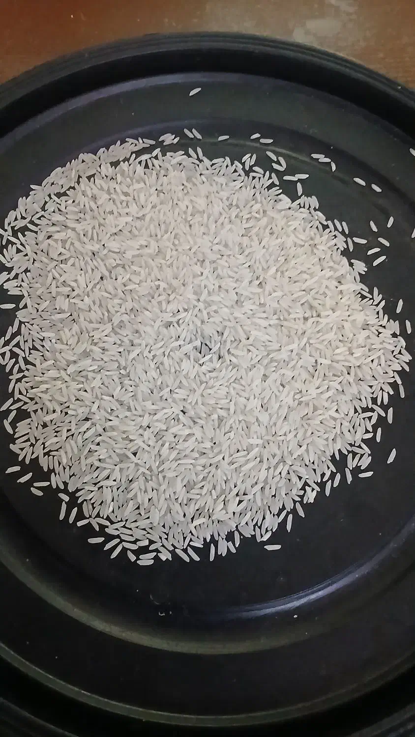 برنج هاشمی درجه ۱ اصل|خوردنی و آشامیدنی|توتکابن, |دیوار