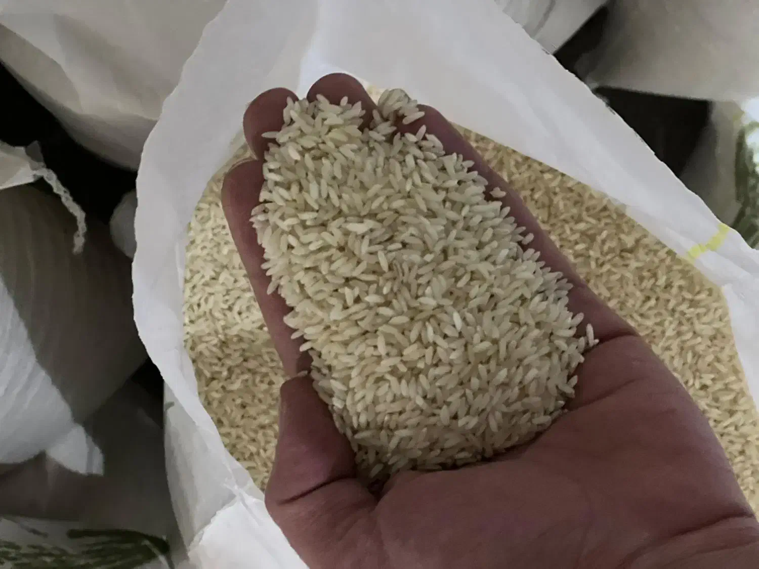 برنج عنبربو شوشتر تولکی به شرط پخت۱|خوردنی و آشامیدنی|شوشتر, |دیوار