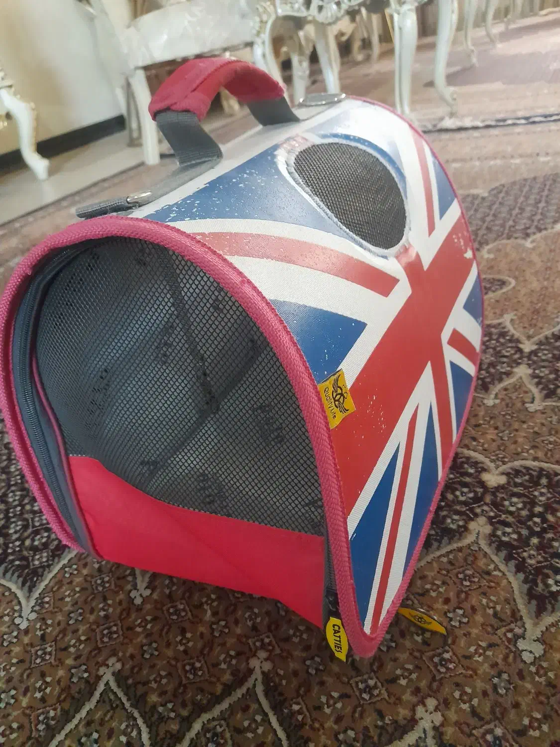 اسکچر سالم همراه باکس|لوازم جانبی حیوانات|تهران, توحید|دیوار