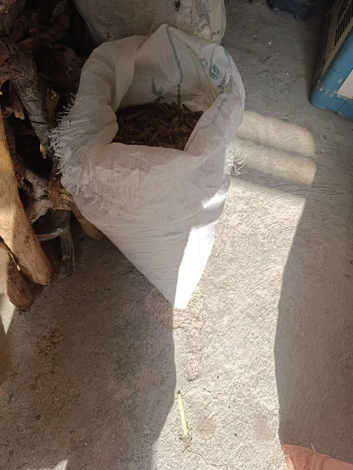 فروش بلوط، با پوست و بدون پوست|لوازم جانبی حیوانات|گچی, |دیوار