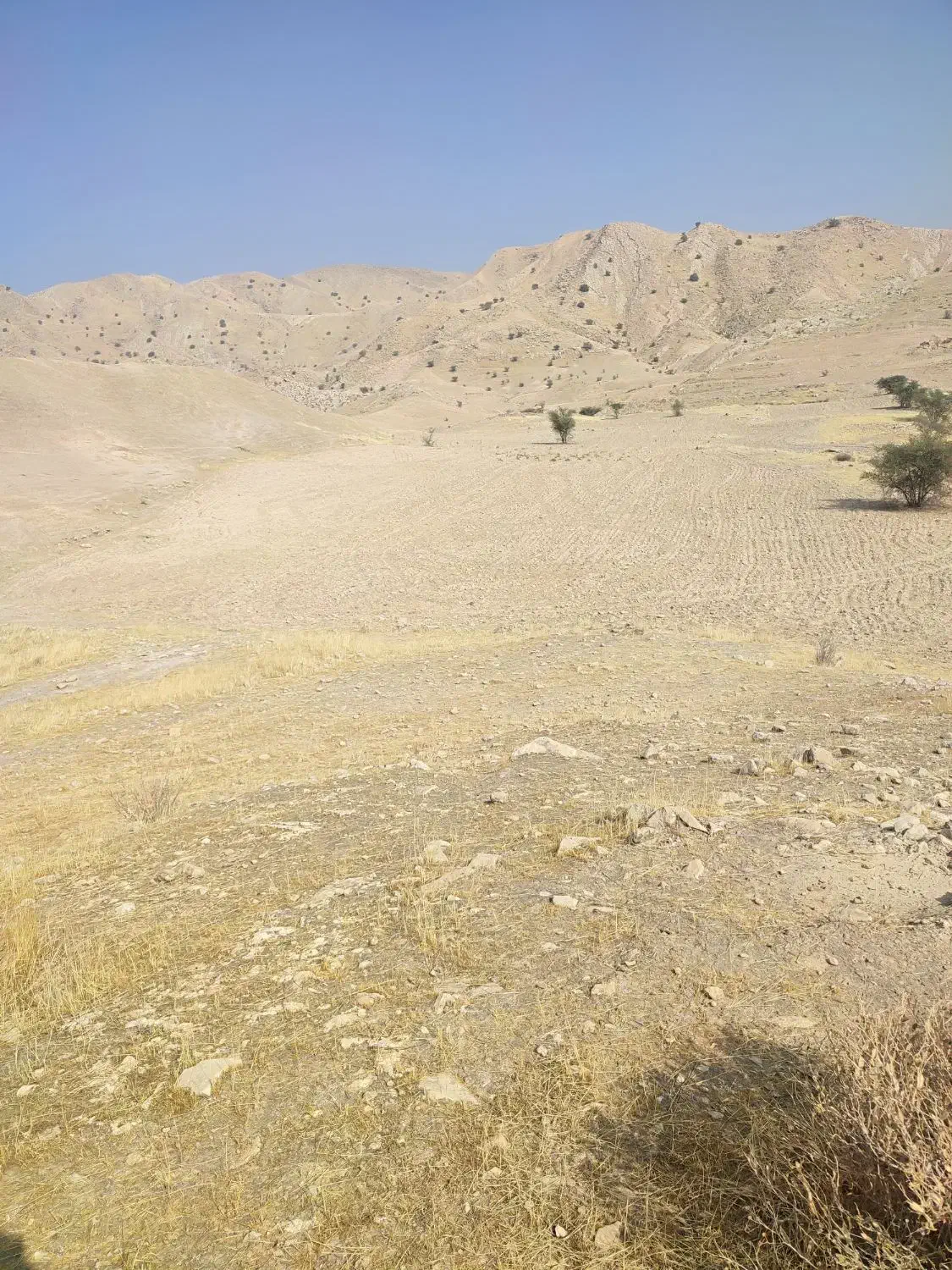 زمین کشاورزی|فروش دفتر صنعتی، کشاورزی، تجاری|خشت, |دیوار