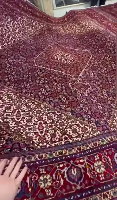 فرش دستباف تبریز ماهی12متری|فرش|تبریز, |دیوار