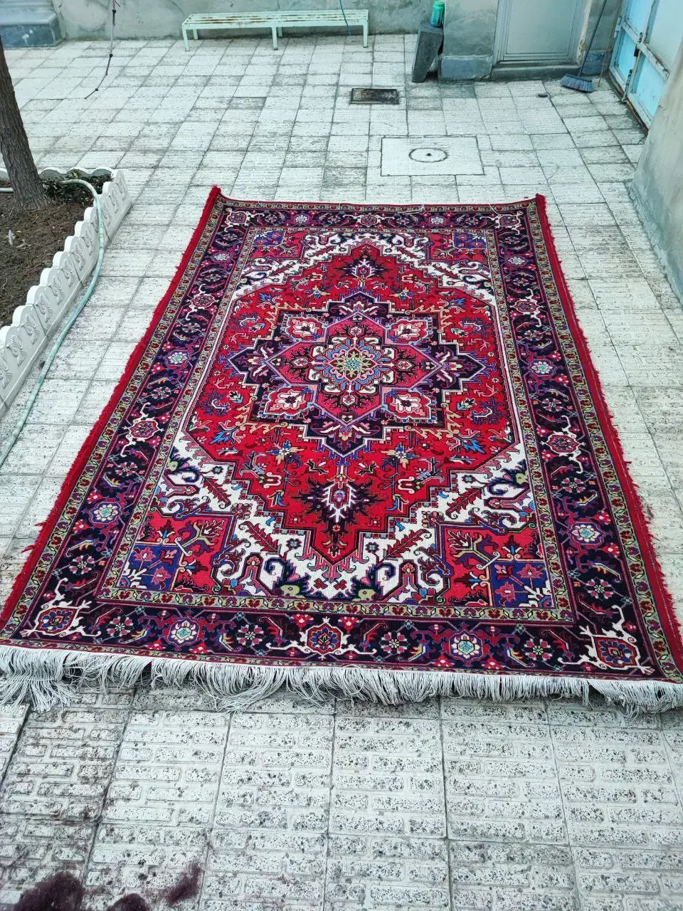 فرش هریس تاجری|فرش|آذرشهر, |دیوار