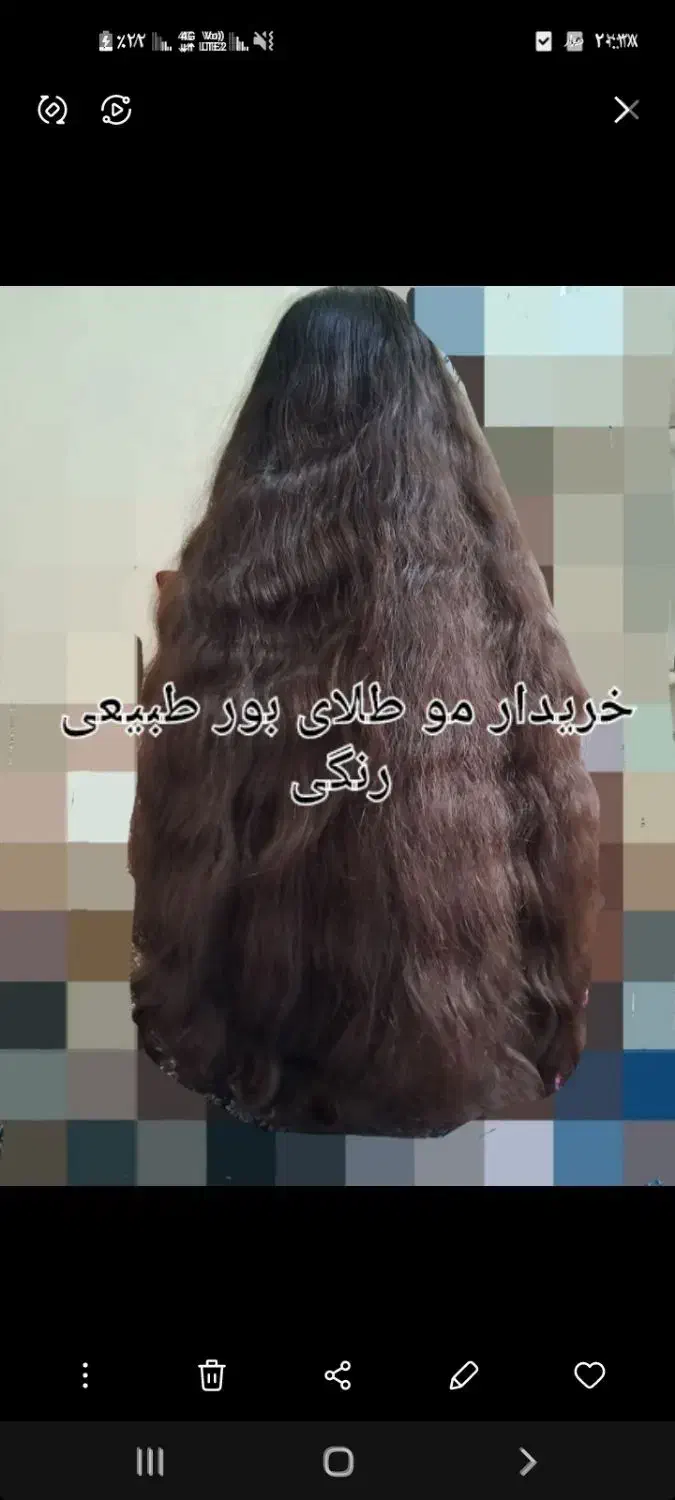 بریدن قژ|آرایشی، بهداشتی، درمانی|کامیاران, |دیوار