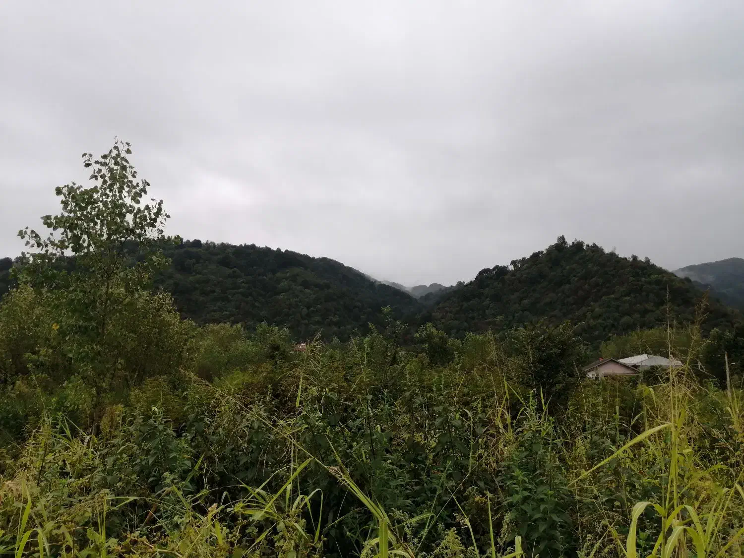 2350 متر مسکونی لاهیجان لنگرود|فروش زمین و ملک کلنگی|لاهیجان, گلستان|دیوار