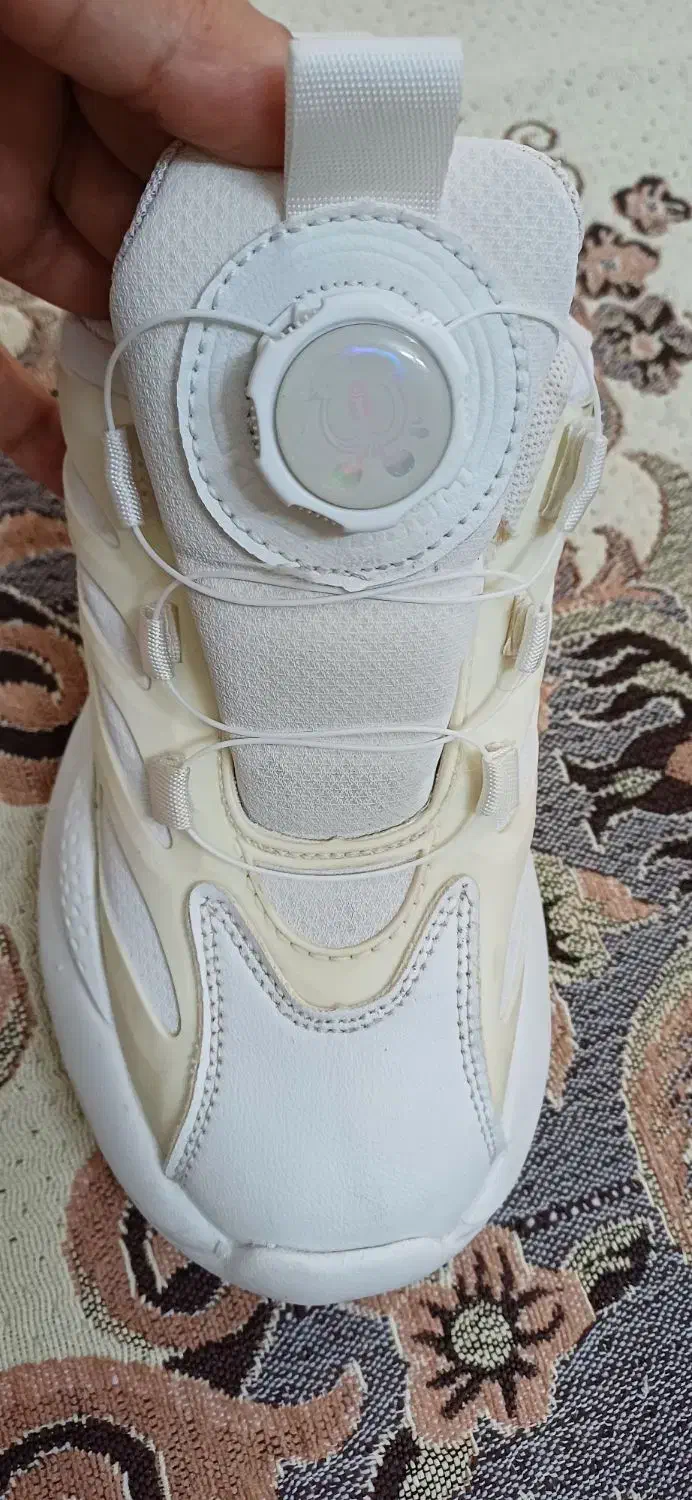 کتونی اسپرت|کیف، کفش، کمربند|باغستان, |دیوار