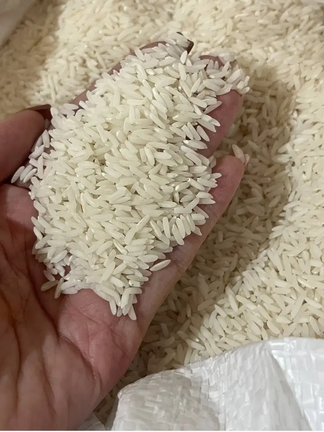 ۱۴۰کیلو برنج هاشمی اعلا|خوردنی و آشامیدنی|شفت, |دیوار