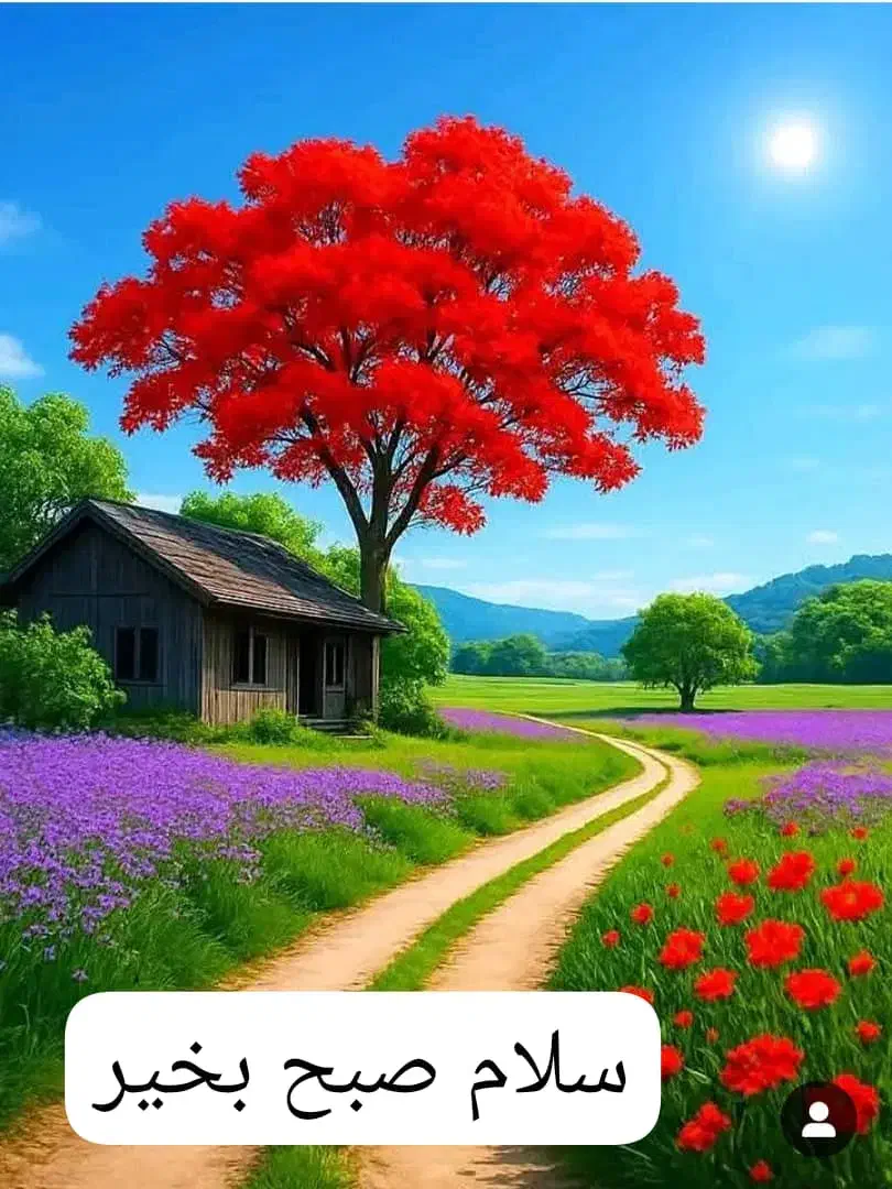 فروش|فروش خانه و ویلا|صدرا-فارس, فاز ۲|دیوار