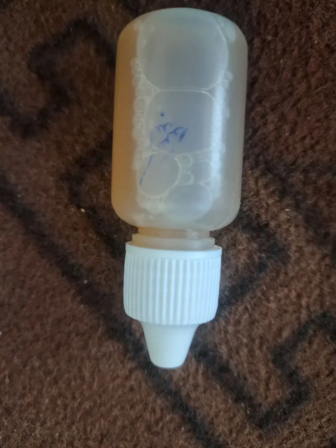 غذای مرغ مینا|پرنده|شهریار, دهشاد بالا|دیوار