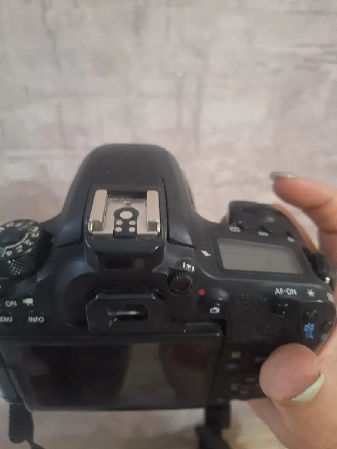 دوربین کنون 77d همراه با لنز 85 mm و f 1/8|دوربین عکاسی و فیلم‌برداری|شیراز, معالی‌آباد|دیوار