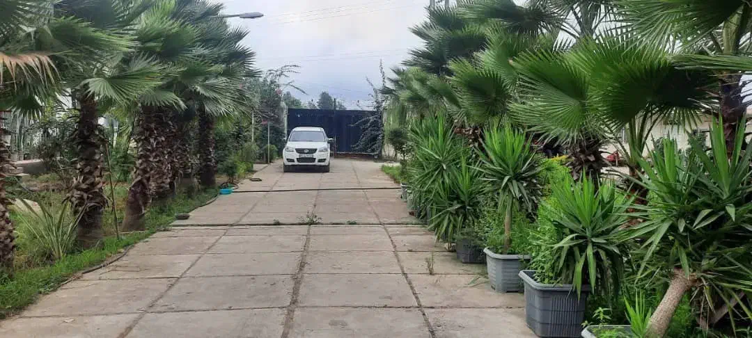 تنکابن10هکتارزمین150مترویلا ۳تاسرایداری سند۶شدانگ|فروش زمین و ملک کلنگی|نشتارود, |دیوار