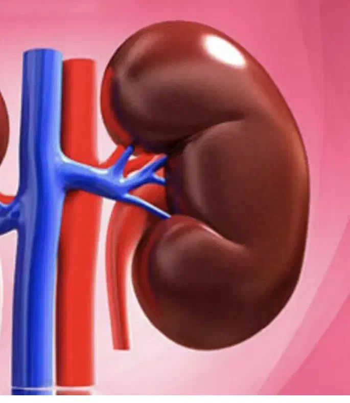 اهدا زندکی|فعالیت داوطلبانه|تهران, زنجان جنوبی|دیوار