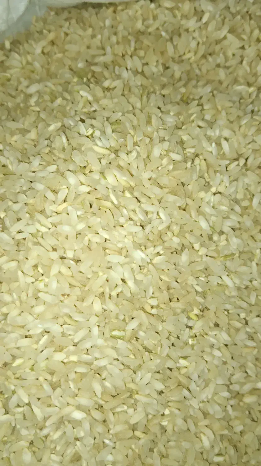 برنج چمپا چیتاب و صالحون|خوردنی و آشامیدنی|یاسوج, |دیوار