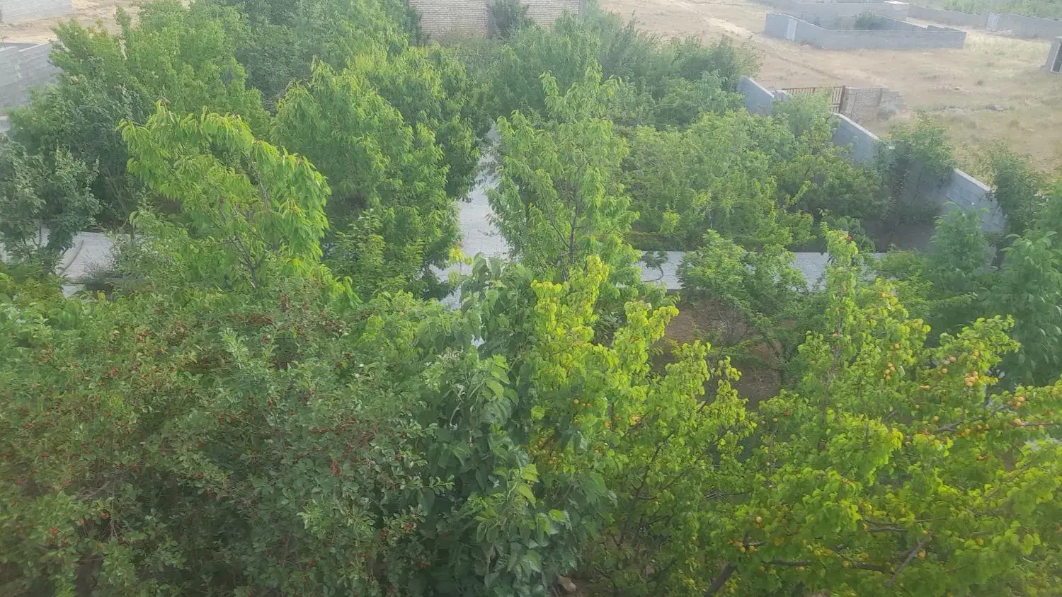 زمین مسکونی|فروش زمین و ملک کلنگی|همایجان, |دیوار