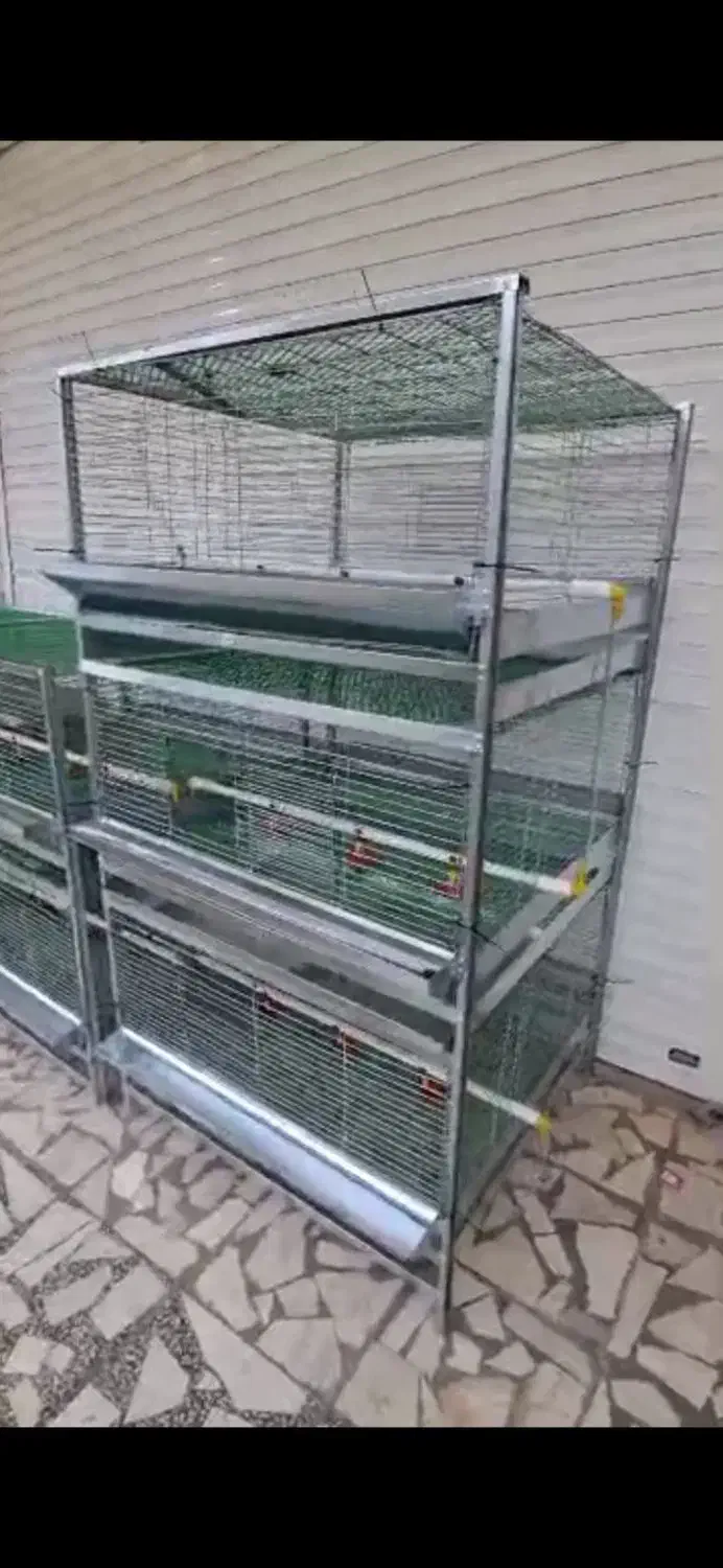 قفس بلدرچین ،قفس جوجه،ابخوری ،دانخوری|لوازم جانبی حیوانات|تنکابن, |دیوار