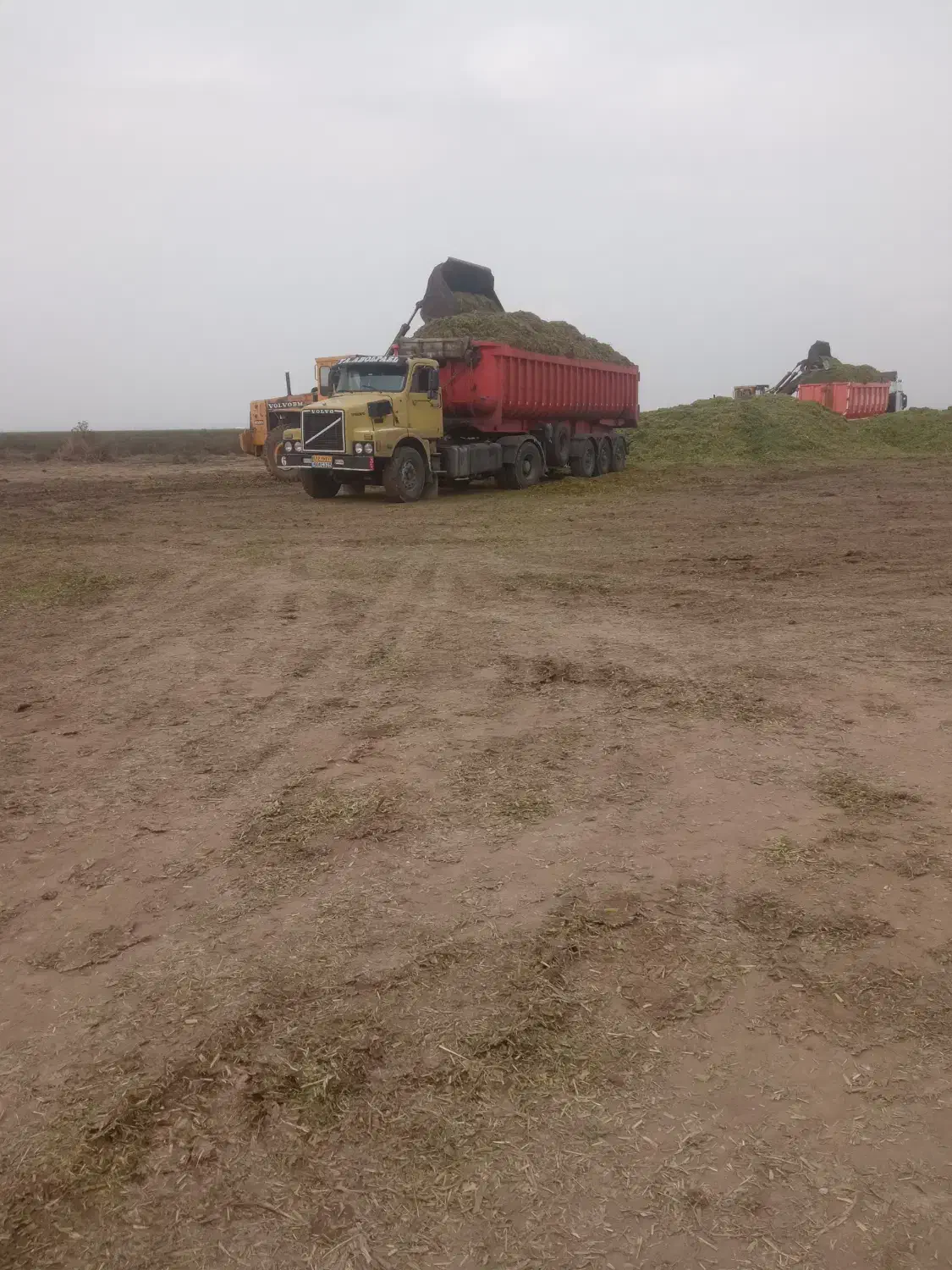 نیازمند راننده پایه یک|استخدام حمل و نقل|اردبیل, |دیوار