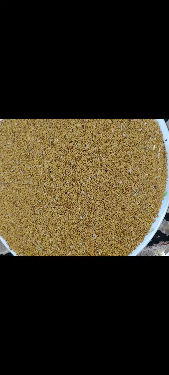 بذر یونجه(جت)|خدمات باغبانی و درختکاری|شادگان, |دیوار