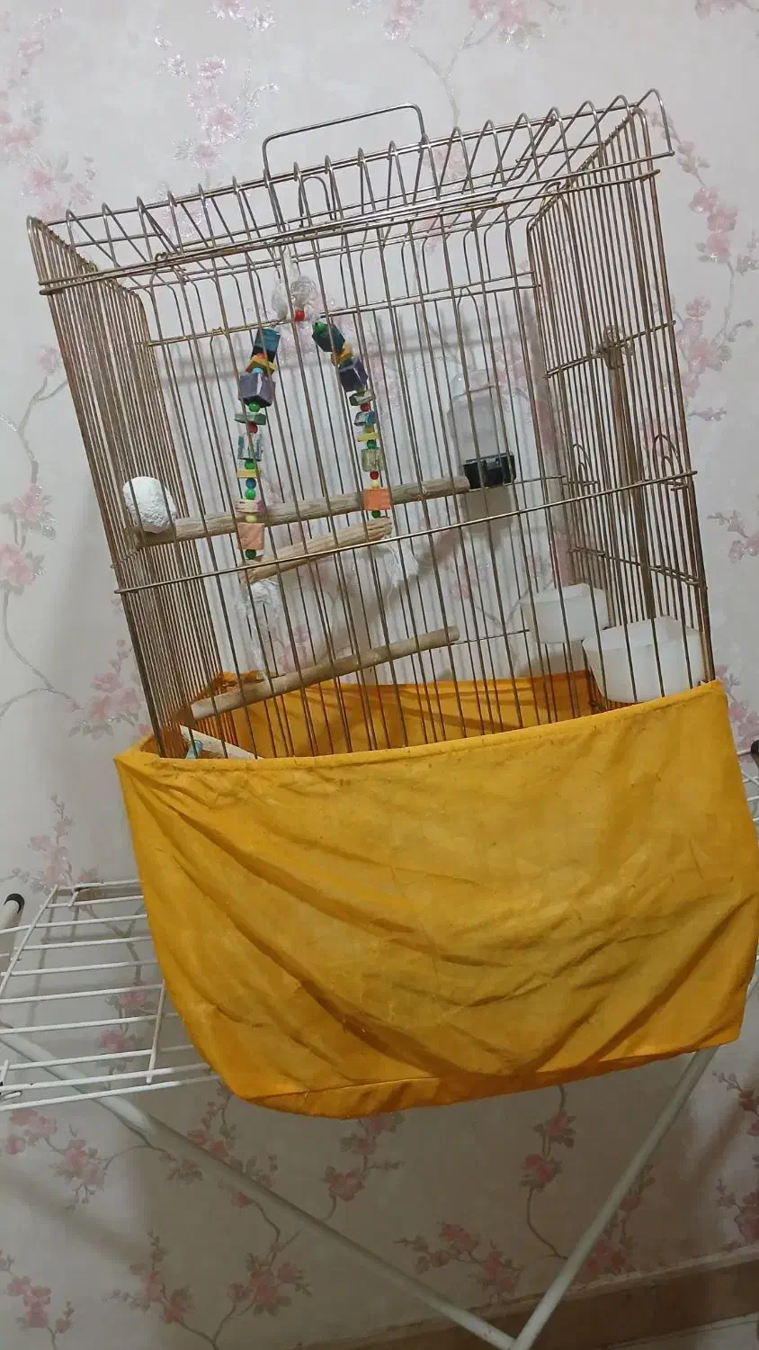 قفس پرنده|لوازم جانبی حیوانات|اسلامشهر, مظفریه|دیوار