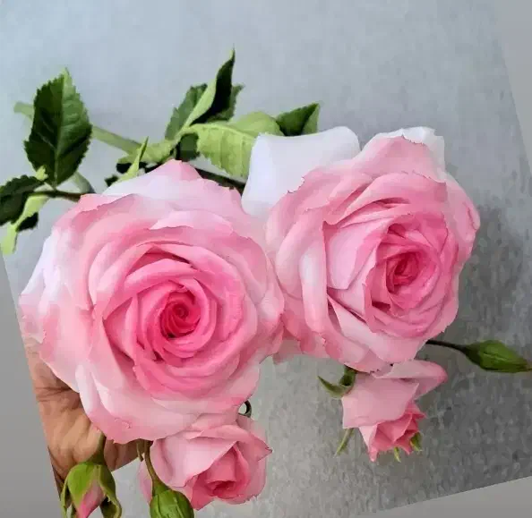 آموزش و فروش گل دستساز منعطف همیشه جاودان|گل مصنوعی|نجفآباد, ویلاشهر|دیوار