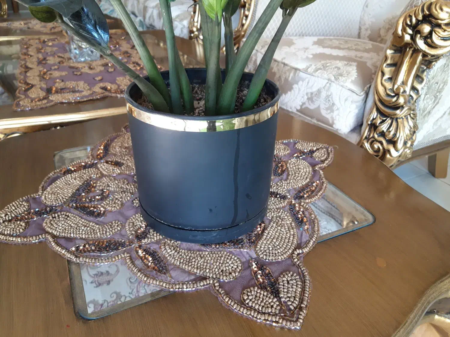 گل و گیاه|گل و گیاه طبیعی|اصفهان, طامه|دیوار