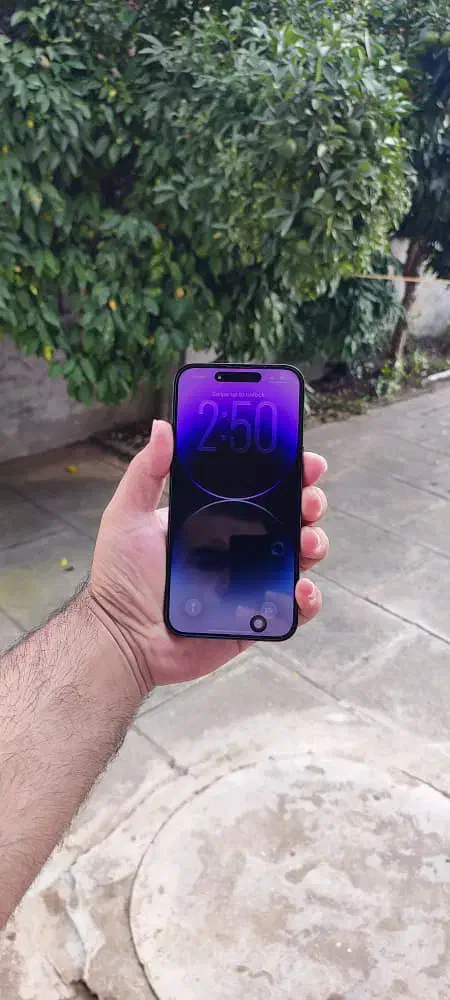 14 Promax 256za|موبایل|بندر انزلی, عباس آباد|دیوار