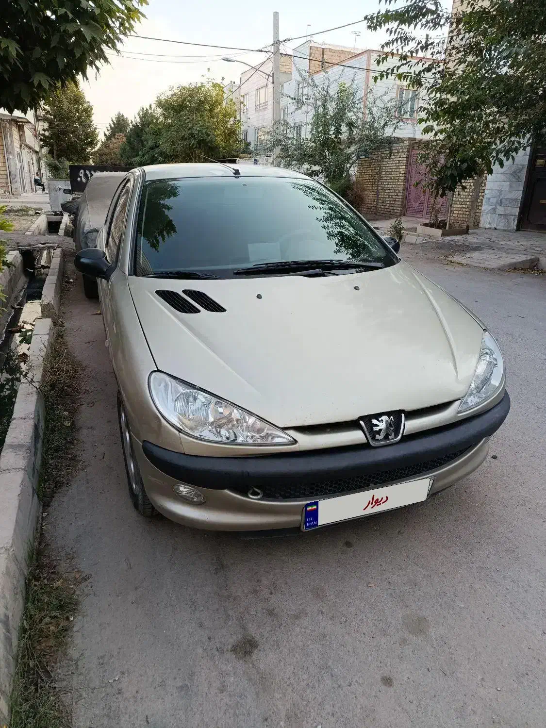 206 مدل 82|خودرو سواری و وانت|الوند, |دیوار