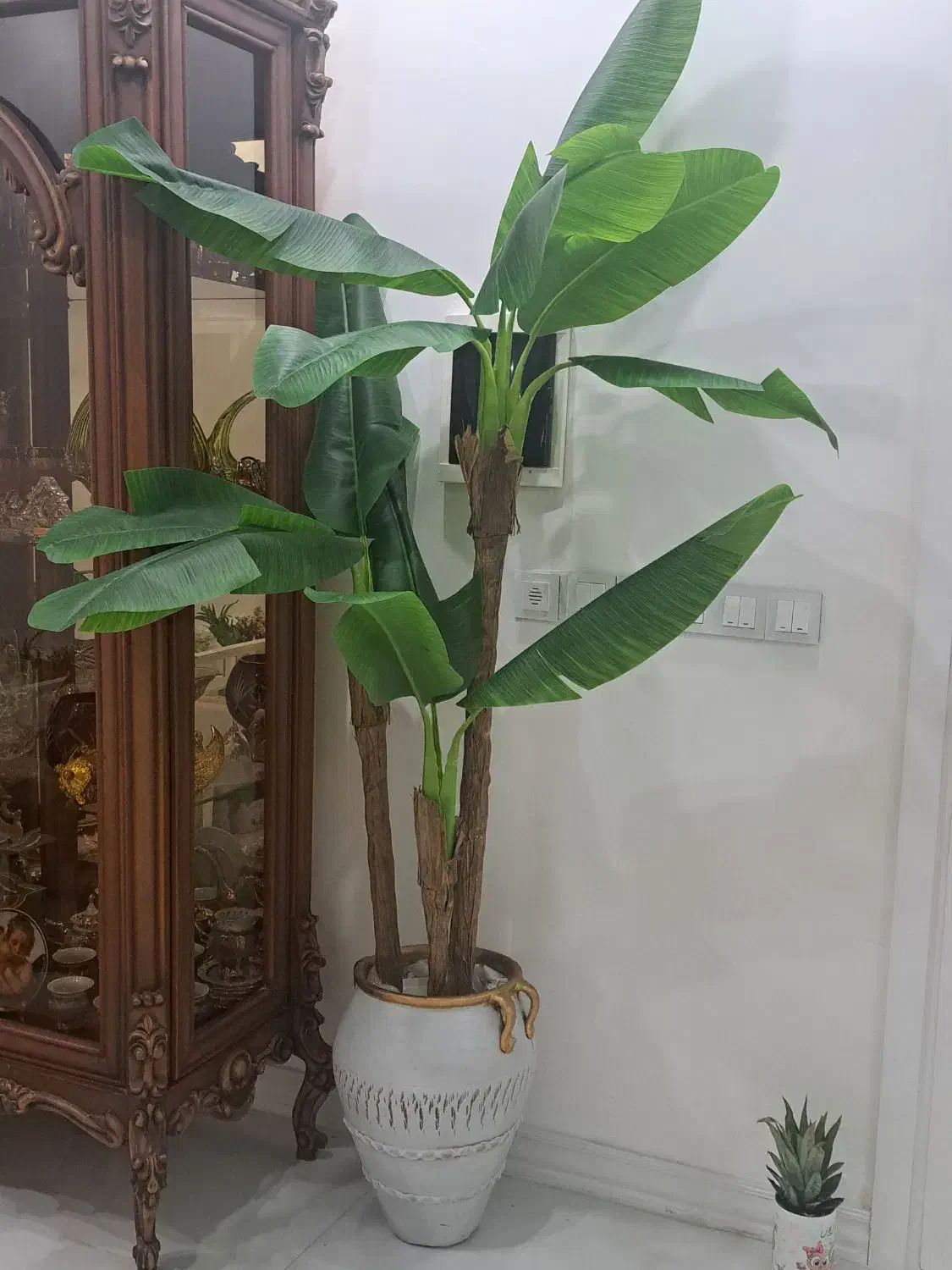 درختچه موز|گل مصنوعی|کیش, |دیوار