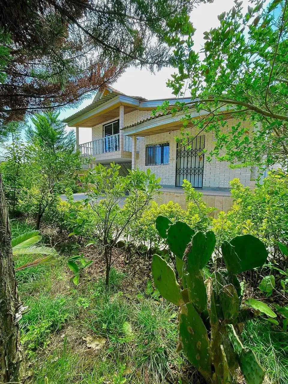 باغچه ویلانیم پیلوت جنگلی*330متر قیمت کاسبی|فروش خانه و ویلا|آلاشت, |دیوار