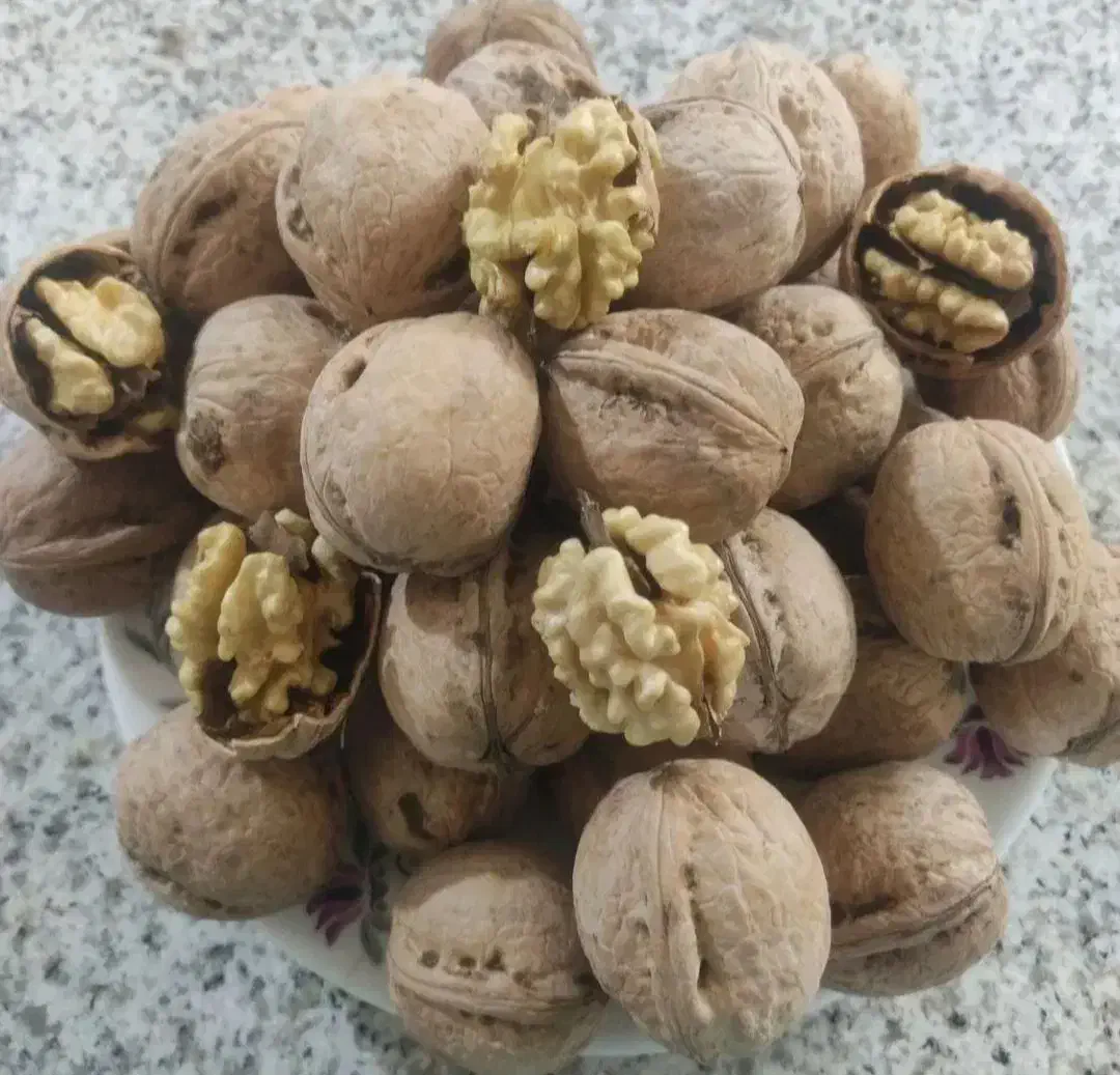 کیلو ۴۸۰|عمدهفروشی|دوگنبدان, |دیوار