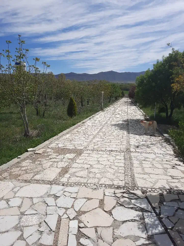 فروش باغ ۷۰۰۰متری خانه زنیان|فروش خانه و ویلا|ارژن, |دیوار