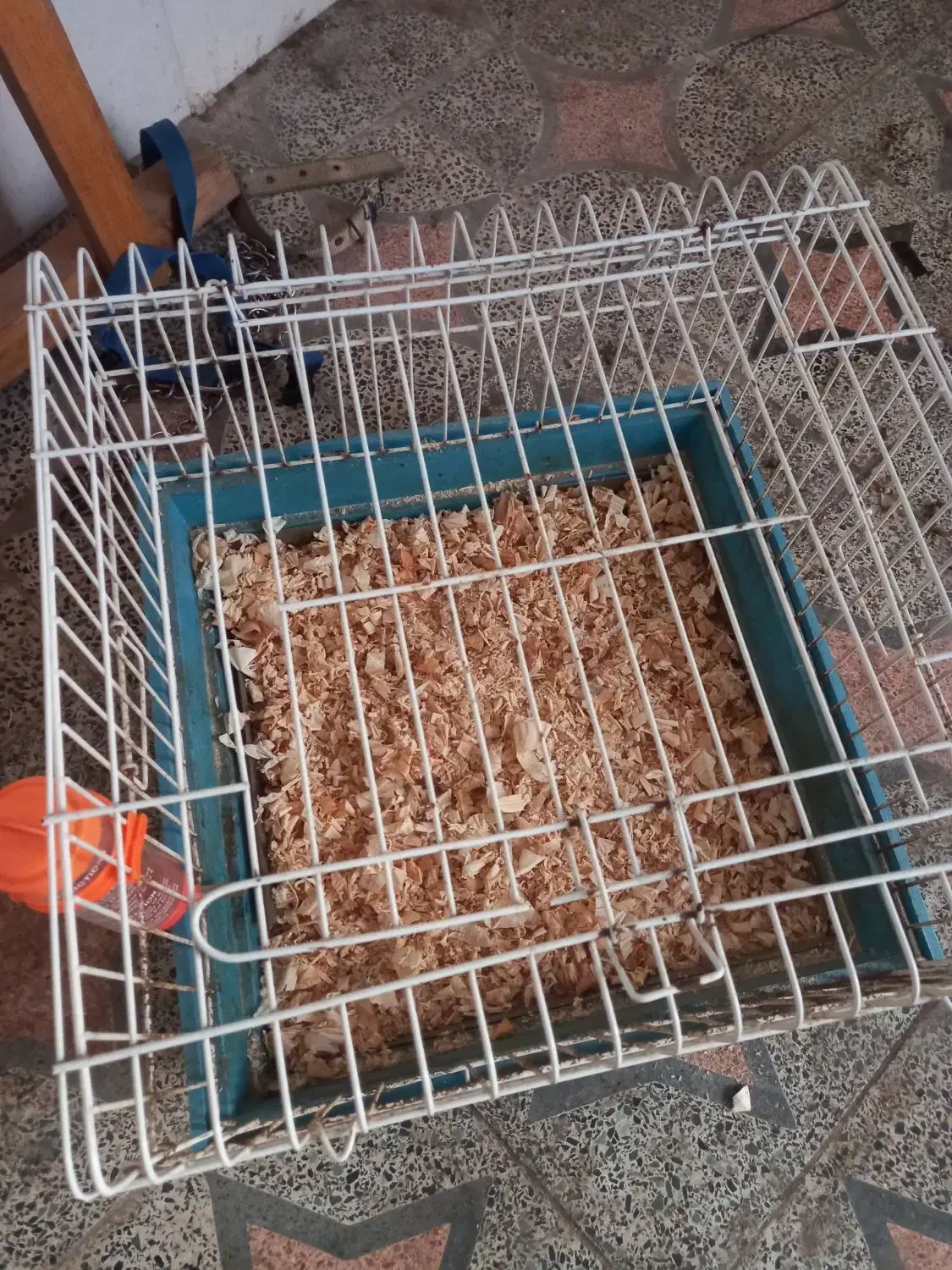 قفس حیوانات و خرگوش جای آب و ادرار هم دارد|لوازم جانبی حیوانات|رشت, کوی قدس|دیوار