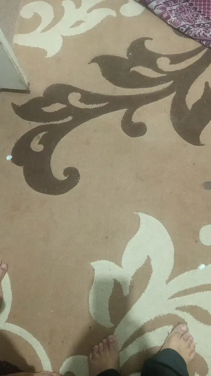 فرش فروشی|فرش|قم, پردیسان|دیوار