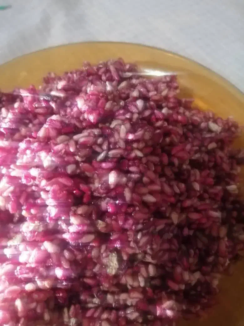 اناردونه، ناردونه محلی|خوردنی و آشامیدنی|شیراز, میانرود|دیوار