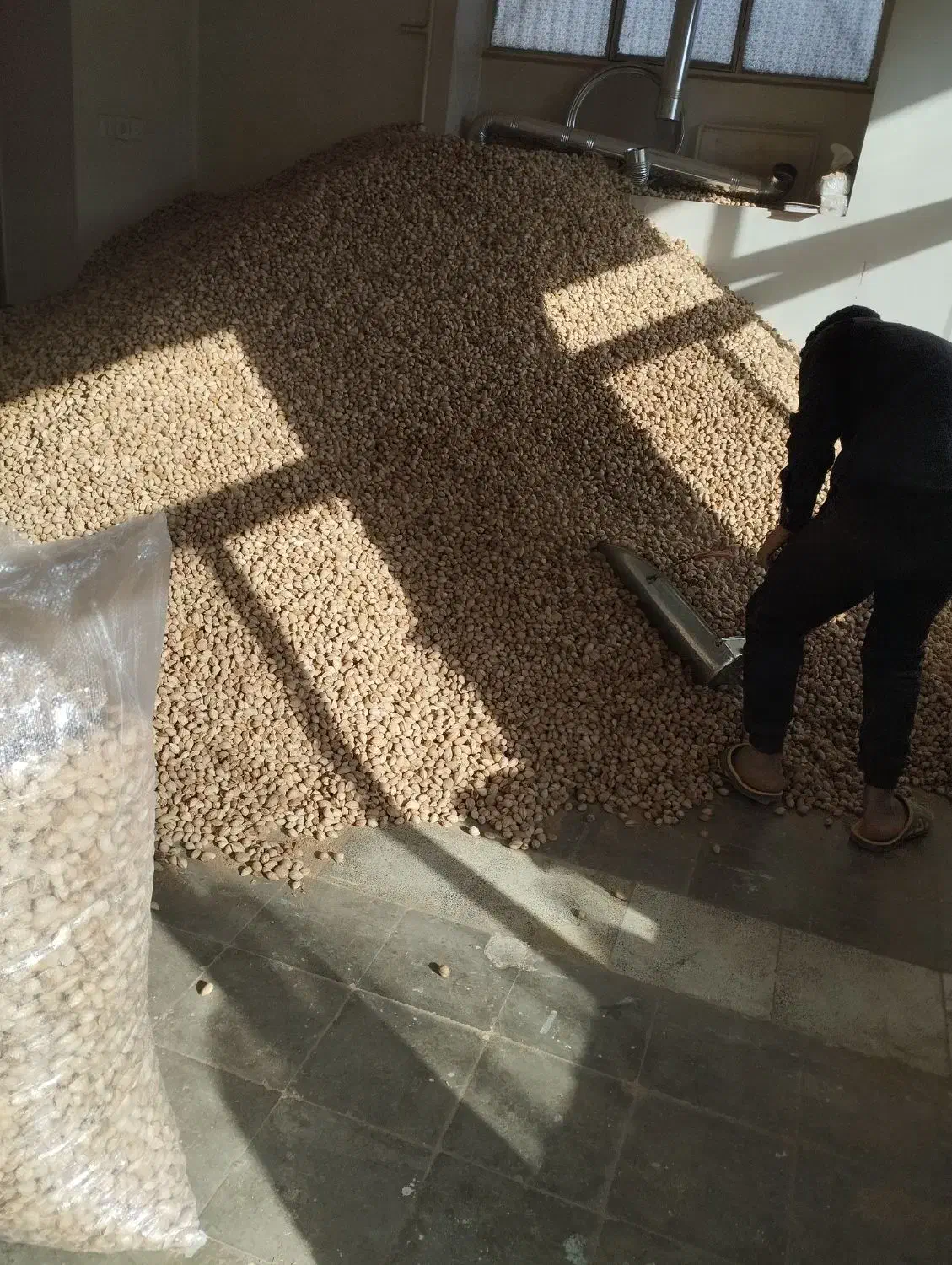 خرید و فروش بادام به قیمت تجاری|خوردنی و آشامیدنی|نجف‌آباد, رجایی شمالی|دیوار