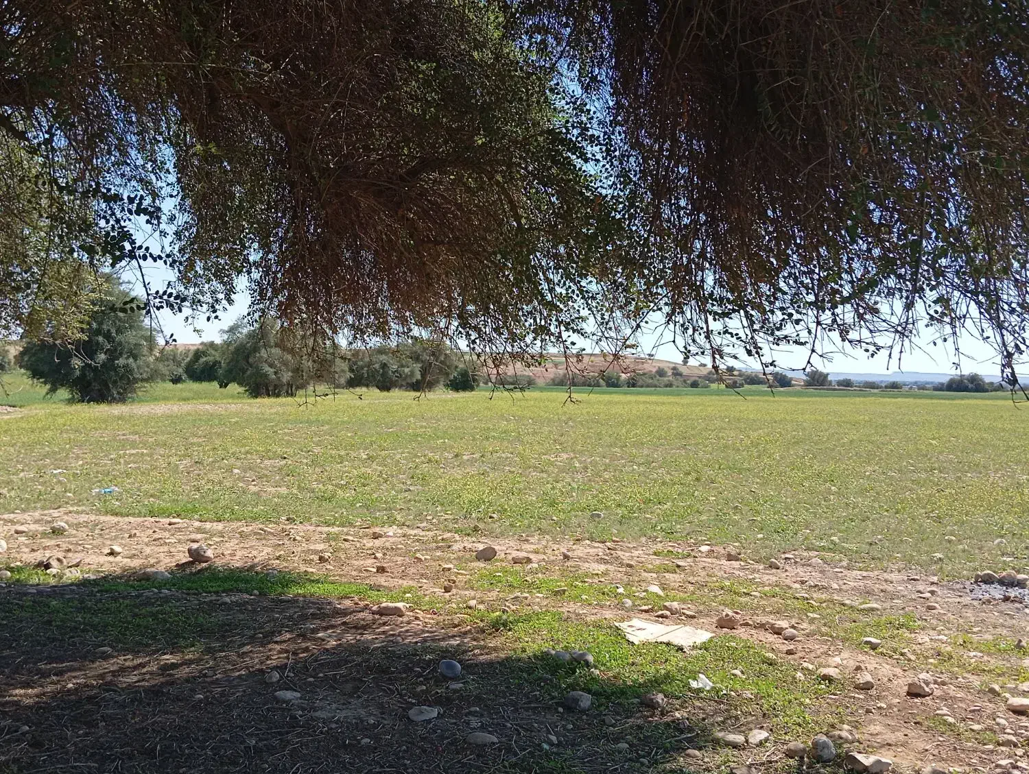 رهن و اجاره کارگاه سوله فاز دو شهرک اصناف محلات|اجارهٔ دفتر صنعتی، کشاورزی، تجاری|محلات, |دیوار