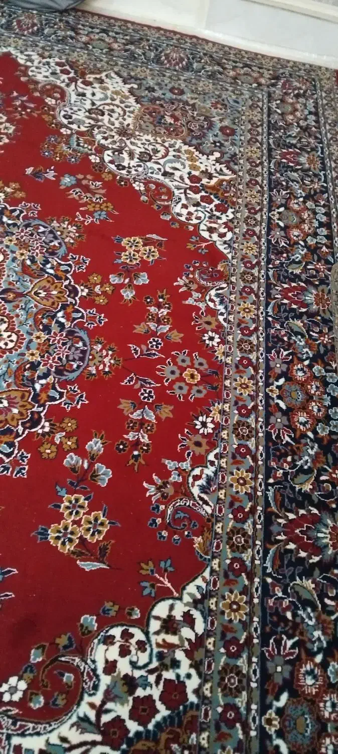 فرش ۱۲ متری|فرش|گلستان (تهران), |دیوار