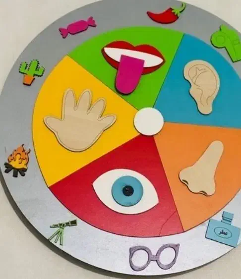 کاردستی کلاس اول تاششم|اسباببازی|زنجان, |دیوار