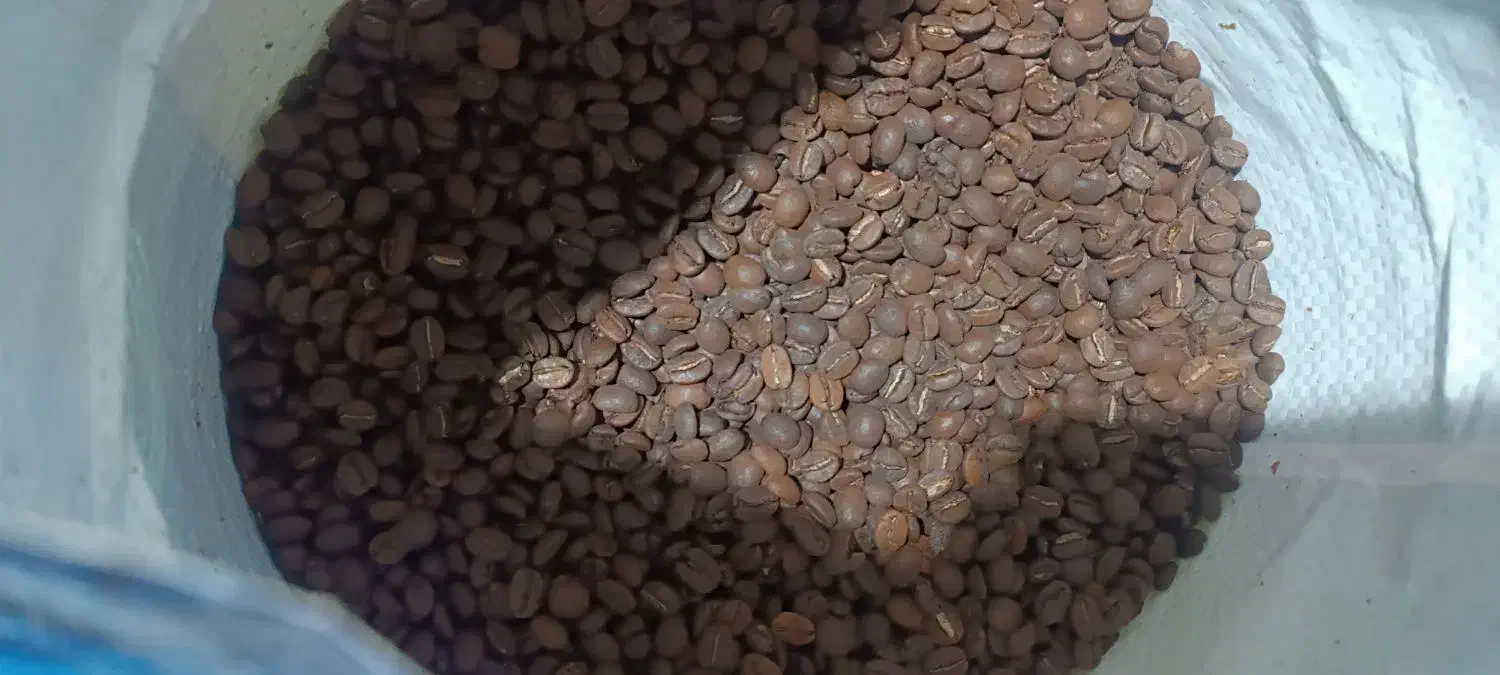 انواع دان قهوه و شکلات پودری جات کیفیت قیمت عمده|خوردنی و آشامیدنی|شیراز, بازار|دیوار