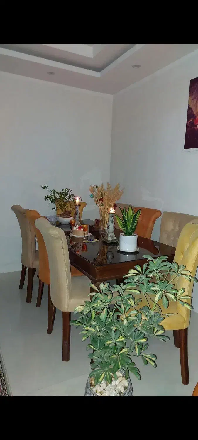 نهار خوری هشت نفره|میز و صندلی غذاخوری|علی‌آباد کتول, |دیوار