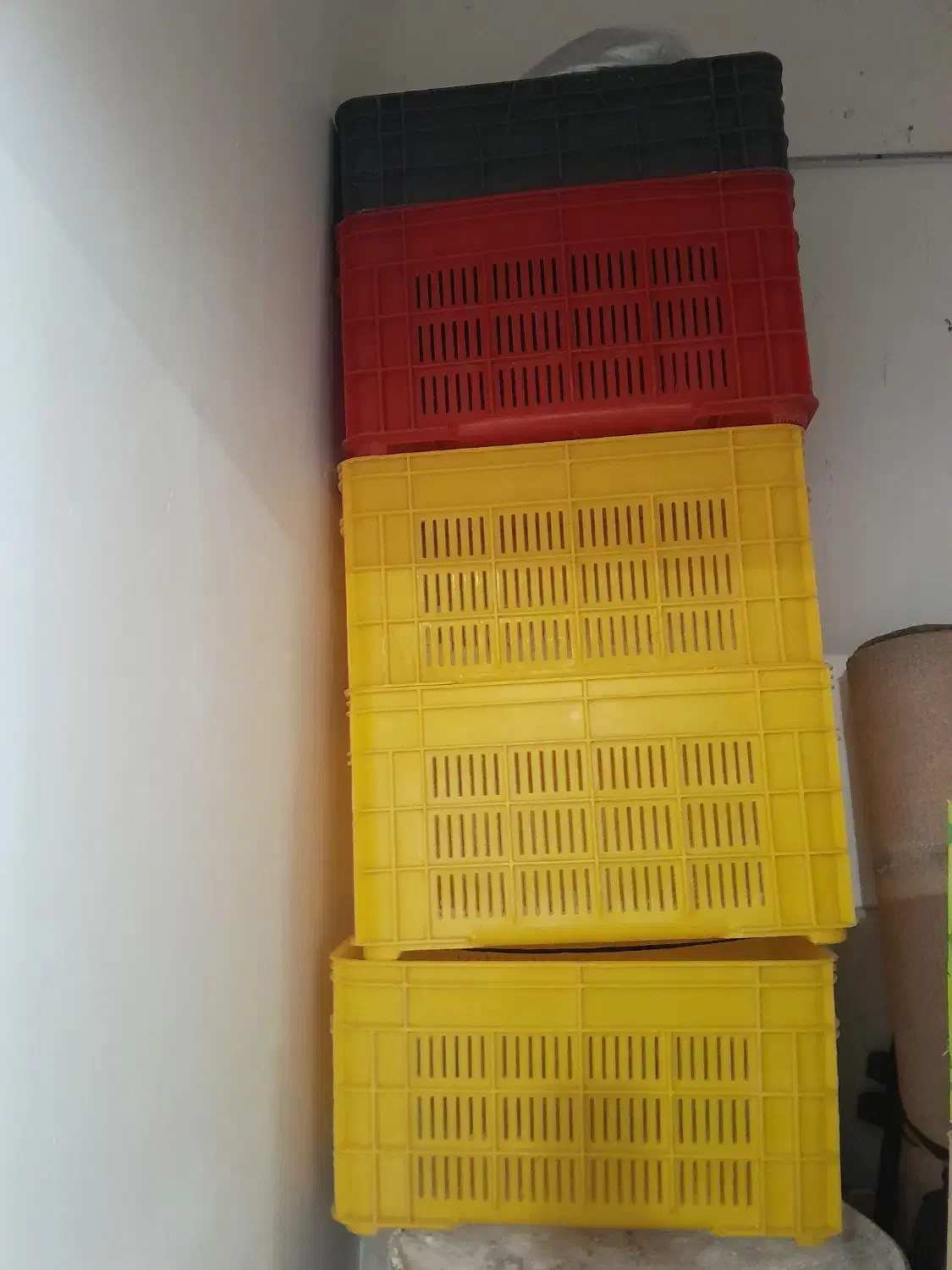 سبد|ظروف نگهدارنده، پلاستیکی، یک‌بارمصرف|شیروان (خراسان), |دیوار