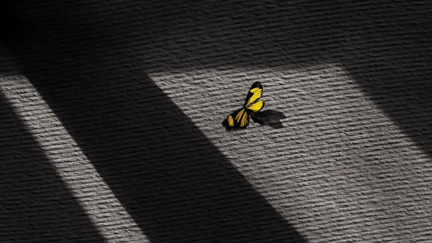 بازسازی از ابتدا تا انتها  بازسازی یک هنر است|خدمات پیشه و مهارت|تهران, ونک|دیوار