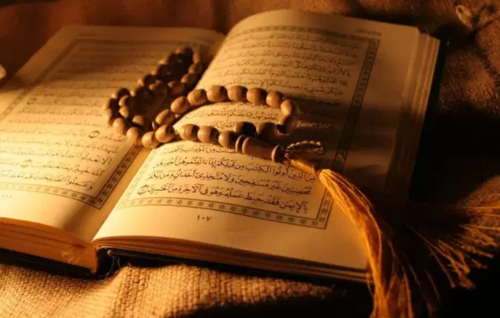 سرکتاب|کتاب و مجله مذهبی|نظرآباد, صالح آباد|دیوار