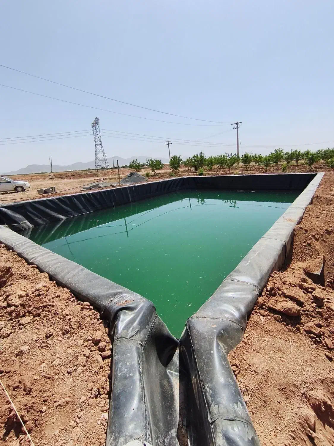 اجاره زمین کشاورزی موسیری|اجارهٔ دفتر صنعتی، کشاورزی، تجاری|داران, |دیوار