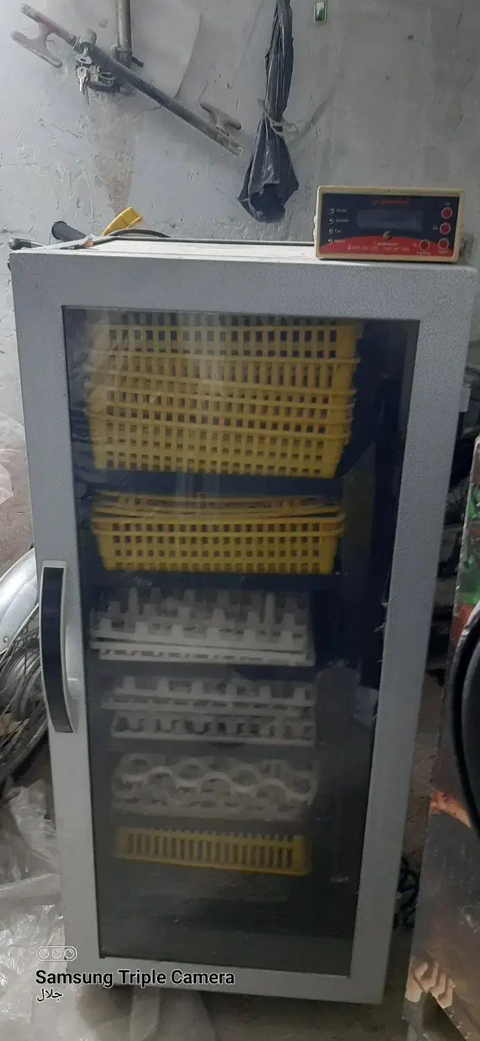 دستگاه جوجه کشی ققنوس و اسکندری|لوازم جانبی حیوانات|مشهد, ابوذر|دیوار