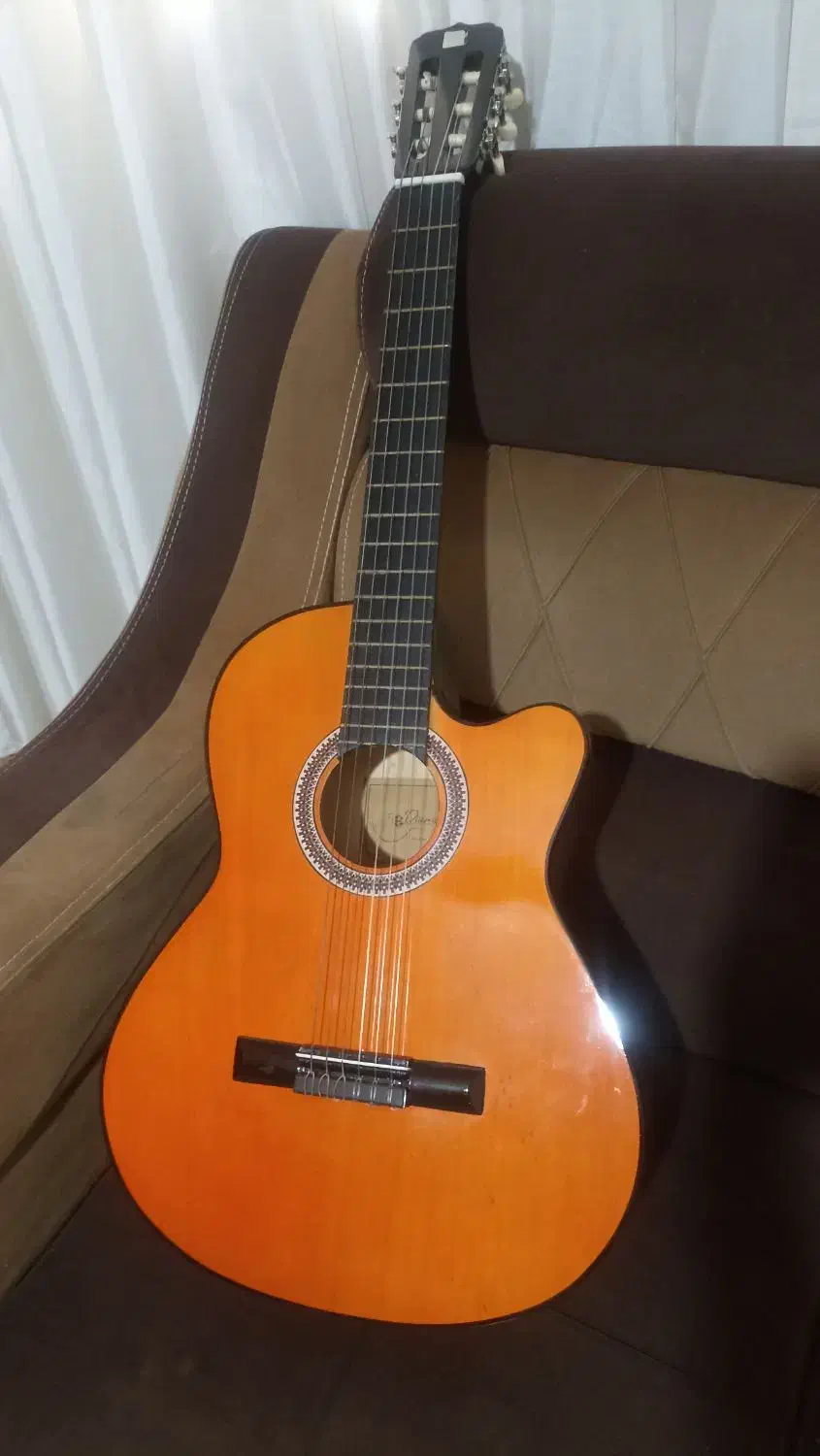 گیتار نو نو|گیتار، بیس، امپلیفایر|آبیک, |دیوار