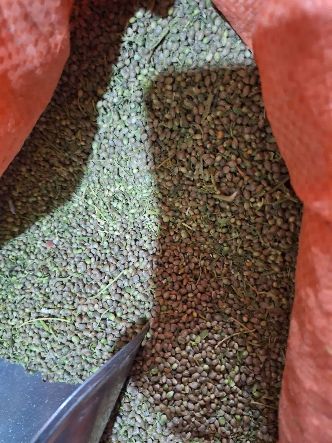 داران|عمدهفروشی|داران, |دیوار