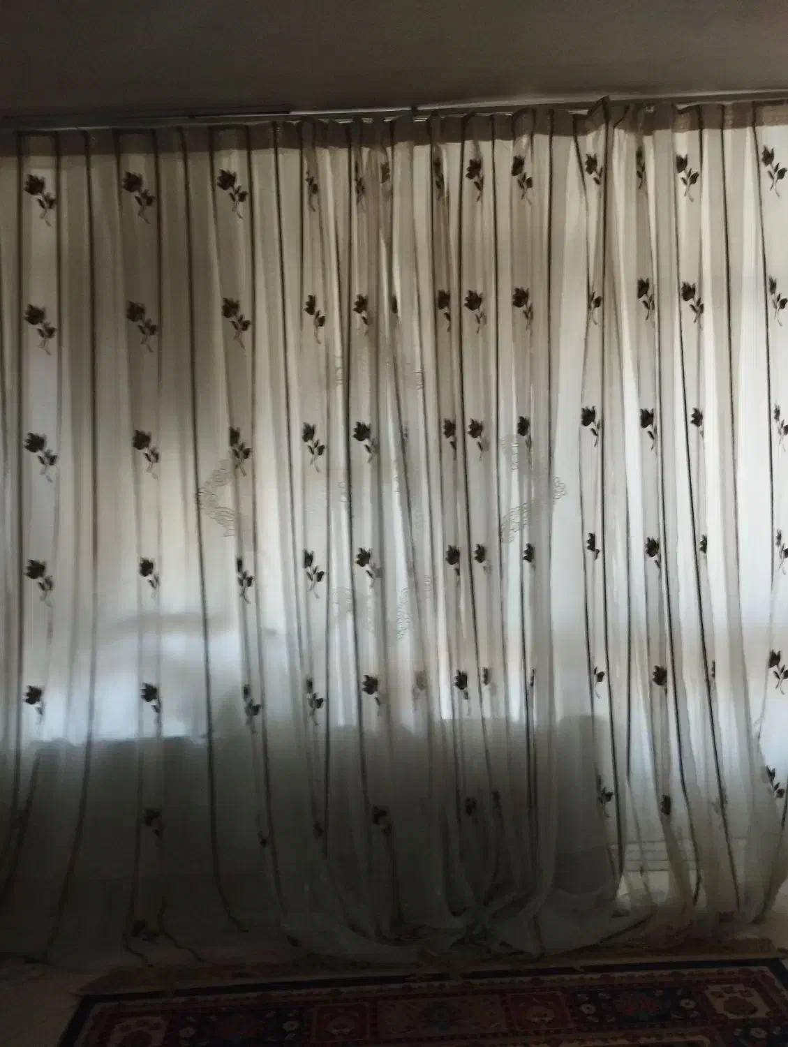 کتابخونه|کتابخانه، شلف، قفسه‌های دیواری|نیشابور, شهرک رسولی|دیوار