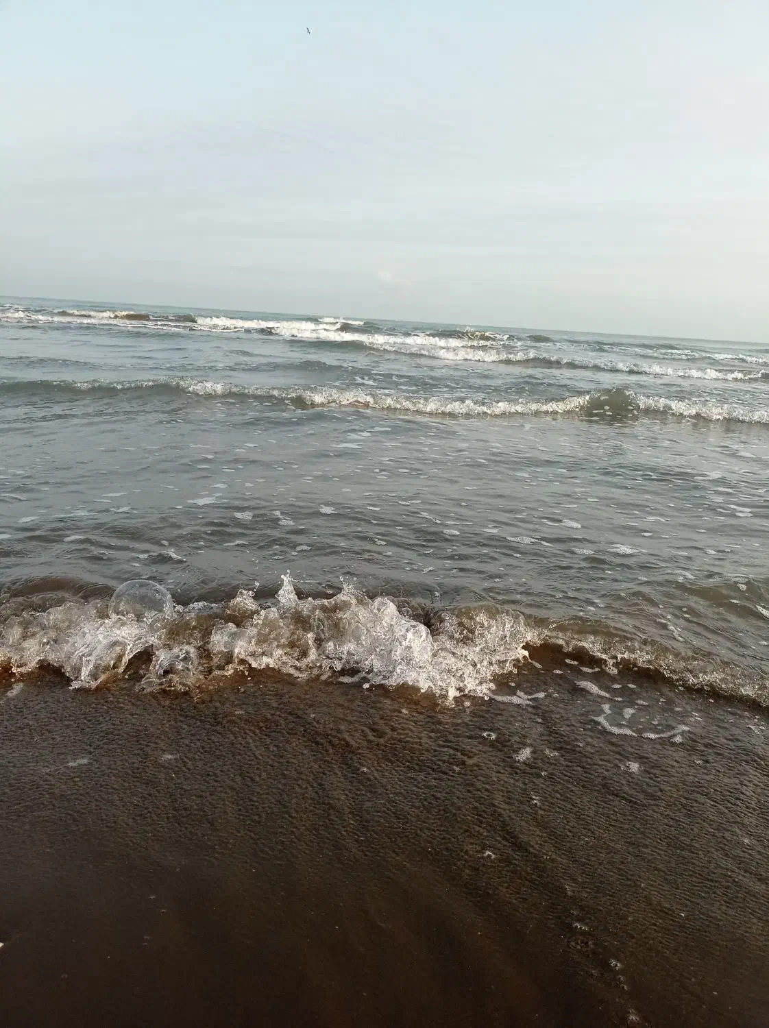 سرویس به تمام ایران پذیرفته می شود|خدمات حمل و نقل|نجف‌آباد, بازار|دیوار